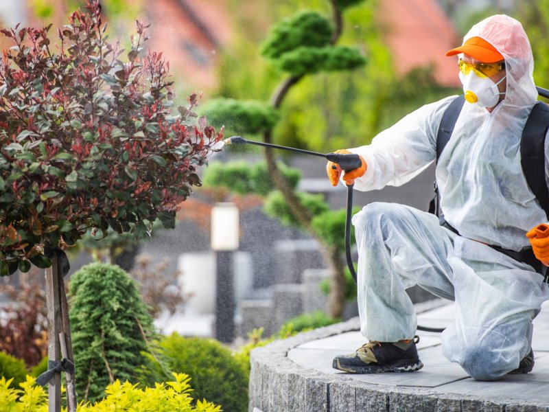 Domaniç Haşere İlaçlama